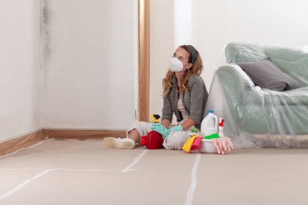 Reliable Commercial Mold Remediation contractor in Bellwood, PA by WQB Mold Removal